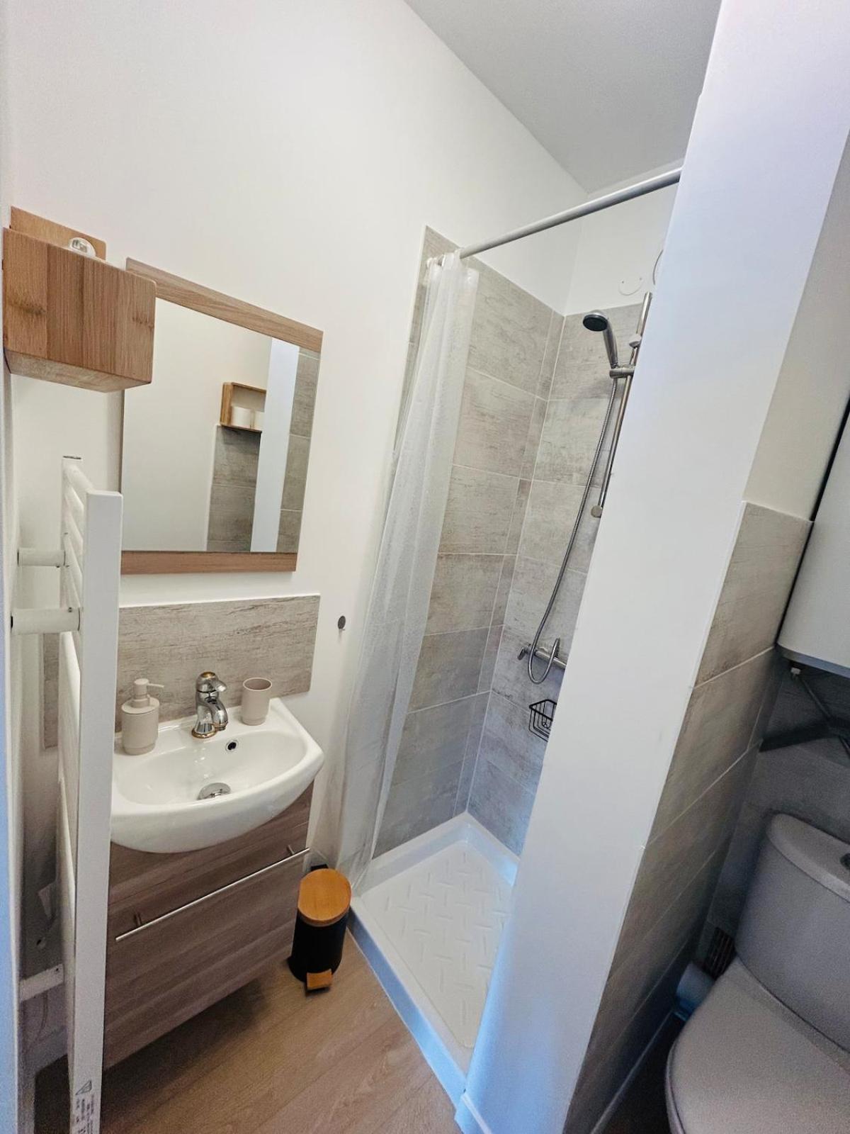Appartement Charmant Proche Gare ตูร์ ภายนอก รูปภาพ